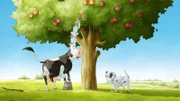 Lieselotte und die Hühner versuchen Äpfel im Baum zu pflücken. Der Dalmatiner überrascht sie.