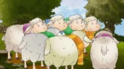 Alle Schafe tragen bunte Schals.
