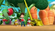 L-R: Rubble, Ryder, Marshall