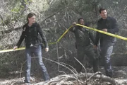 Nachdem eine kopflose Leiche im Wald aufgefunden wurde, arbeiten Booth (David Boreanaz, r.) und Brennan (Emily Deschanel) mit dem Förster Doug Edison (Terrell Clayton) zusammen.