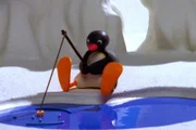 Guetnachtgschichtli Pingu Staffel 6 Folge 18 Pingu – Ein guter Fang Pingu beim Fischeni.  Copyright: SRF/Joker Inc., d.b.a., The Pygos Group