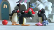 Guetnachtgschichtli Pingu Staffel 6 Folge 17 Pingu – Eifersucht Pingu und Pingo streiten um Pingi.  Copyright: SRF/Joker Inc., d.b.a., The Pygos Group