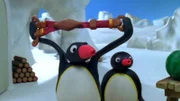 Guetnachtgschichtli Pingu Staffel 6 Folge 19 Pingu – Praktische Hosenträger Pingu und seine Freunde mit dem Hosenträger.  Copyright: SRF/Joker Inc., d.b.a., The Pygos Group