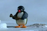 Guetnachtgschichtli Pingu Staffel 6 Folge 16 Pingu – Eine Zauberflöte Pingu mit der Zauberflöte.  Copyright: SRF/Joker Inc., d.b.a., The Pygos Group
