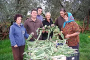 Familie Compagno und ihre Ernte