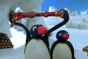 Guetnachtgschichtli  Pingu  Staffel 6  Folge 19  Pingu – Praktische Hosenträger  Pingu und seine Freunde mit dem Hosenträger.    Copyright: SRF/Joker Inc., d.b.a., The Pygos Group