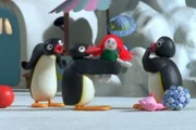 Guetnachtgschichtli
Pingu
Staffel 6
Folge 17
Pingu - Eifersucht
Pingu und Pingo streiten um Pingi.
SRF/Joker Inc., d.b.a., The Pygos Group