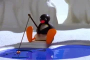 Guetnachtgschichtli
Pingu
Staffel 6
Folge 18
Pingu - Ein guter Fang
Pingu beim Fischeni.
SRF/Joker Inc., d.b.a., The Pygos Group
