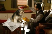 Shelby wird schon bald zum saubersten Hund der ganzen Stadt, nachdem Monk (Tony Shalhoub) ihn bei sich aufgenommen hat ...