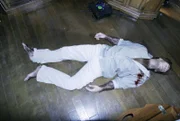 Hayden Bradford (Shiloh Strong), ein so genannter Wolfsmensch, wurde ermordet. Ist seine extreme Körperbehaarung der Grund, warum der junge Mann sterben musste? Das CSI-Team übernimmt die Ermittlungen.