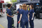 L-R: Dr. Maggie Pierce (Kelly McCreary), Hal (Robert Neary), Ellen Pompeo (Dr. Meredith Grey), Dr. April Kepner (Sarah Drew), Dr. Amelia Shepherd (Caterina Scorsone).