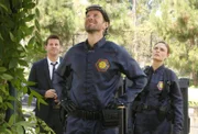 Booth (David Boreanaz, l.), Hodgins (TJ Thyne) und Brennan (Emily Deschanel) entdecken den "Übeltäter", der die Leiche so zugerichtet hat, in einem Baum.