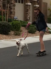 Mariah skateboarding with Artemis during the home check.