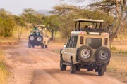 Open roof 4x4  safari jeeps on african wildlife safari.