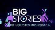 Die schönsten Songs, die interessantesten Beiträge, die spannendsten Videos: Wer hat die beste Story? Diese Frage stellt "Big Stories" - sich selbst und einigen prominenten "Experten".