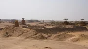 In Umm Bab wird Wüstensand für die boomende Bautätigkeit im großen Stil abgebaut. Die wenigen Bäume der Region müssen per Gesetz des Umweltministeriums an ihrem ursprünglichen Standort belassen bleiben.