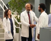 Caterina Scorsone (Dr. Amelia Shepherd), James Pickens Jr. (Dr. Richard Webber), Anthony Hill (Dr. Winston Ndugu).