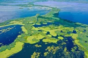 5.000 Quadratkilometer Naturlandschaft aus Lagunen, Sümpfen und Seen, weitgehend sich selbst überlassen – Das Donaudelta.