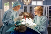 Dr. Susanne Mertens (Elisabeth Lanz, links) operiert mit ihrer Tierarzthelferin Anett (Anna Bertheau, rechts) einen Vogel Strauß und entfernt einen Autoschlüssel, der in seinem Hals stecken geblieben ist.