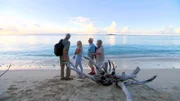 Am Strand von Marie-Galante lassen Andreas, Ingrid, Andreas und Daniela den Tag ausklingen.