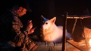 Niels (Jacob Lohmann) kümmert sich um "White", den Hund seines verstorbenen Kameraden Balboa.