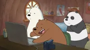 v.li.: Ice Bear, Grizzly Bear, Panda Bear