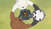 v.li: Grizzly Bear, Ice Bear, Panda Bear