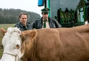 Hubert (Christian Tramitz, links) und Staller (Helmfried von Lüttichau) versuchen die Kuh von der Straße zu bewegen - ohne Erfolg!
