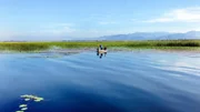 Der Skutarisee ist ein bedrohtes Paradies für Wasservögel.