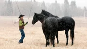 Amy (Amber Marshall) trainiert Pferde im Schnee