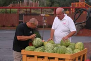 Mauro getting a lesson on how to pick the perfect watermelon from client Frank.
