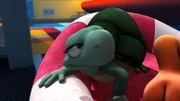 Schlafenszeit für kleine Schildkröten