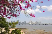 Stadtsilhouette Panama City mit Blüten im Vordergrund