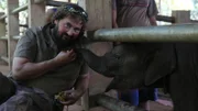 Mit Hilfe modernster Ausrüstung haben die Tierärzte eine riesige Aufgabe, um die Elefanten wieder gesund zu pflegen.