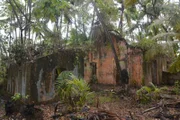 Ruins in French Guiana