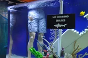 CU on No Swimming sign in Skate Tank.