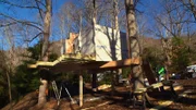 During the treehouse build.