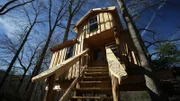 After the treehouse build.