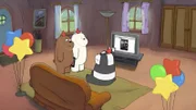 v.li.: Grizzly Bear, Ice Bear, Panda Bear