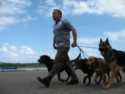 Der Hundeflüsterer Cesar Millan soll das Sozialleben einer Hundestaffel beleben. Normalerweise suchen die Vierbeiner am Hafen nach Drogen und Sprengstoff, jetzt soll ihr Freizeitprogramm auf Vordermann gebracht werden ...