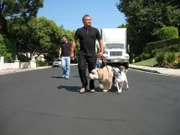 Der Hundeprofi Cesar Millan (r.) ist momentan der berühmteste und gefragteste Experte in Sachen Hundetraining ...