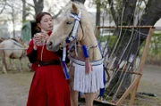 Japans älteste heimische Pferderasse: Die Vorfahren der beim Turnier gerittenen Pferde sind die heute ausgestorbenen Nambu-Ponys.