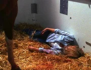Im Privatjet eines reichen Mannes wird eine Pferdepflegerin (Darstellerin nicht zu ermitteln) tot neben dem von ihr betreuten Tier aufgefunden.