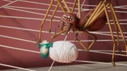 Floyd (u.) ist der Spinne Petrichor ins Netz gegangen. Doch solange er darüber unglücklich ist, verschmäht ihn die Spinne, denn unglückliche Fliegen schmecken nicht gut.