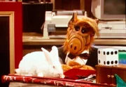 Zauberlehrling Alf (Bild) macht sichtlich Fortschritte. Hätte er nur Brian nicht so leichtfertig in einen Hasen verwandelt ...