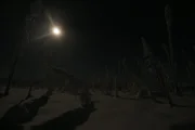 Night time shot of moon and snow.