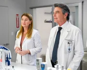 Dr. Meredith Grey (Ellen Pompeo), Dr. David Hamilton (Peter Gallagher)