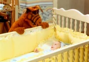 Skeptisch betrachtet Alf (l.) das Baby, das plötzlich im Bettchen liegt ...