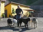 (6. Staffel) - Egal ob Bello, Fiffi oder Wuffi, Cesar Millan hat für jeden Vierbeiner die passende Lösung parat. Der Hundeprofi ist momentan der berühmteste und gefragteste Experte in Sachen Hundetraining ...