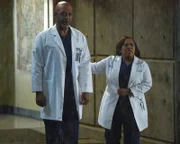 Ins Krankenhaus werden viele Opfer eines Gebäudeeinsturzes gebracht und Webber (James Pickens Jr., l.) verlangt von Bailey (Chandra Wilson, r.) Antworten über die Anwesenheit von Eliza Minnick ...